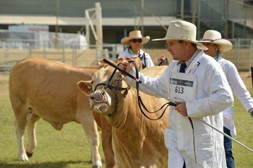 Beef Australia 2021