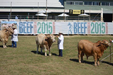Beef Australia 2015