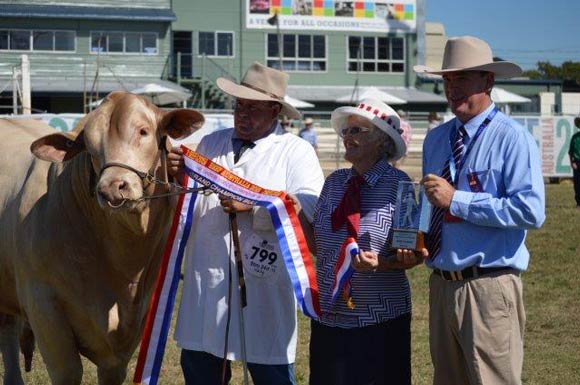Grand Champion Bull, Beef Australia 2015, Huntington Jeremiah