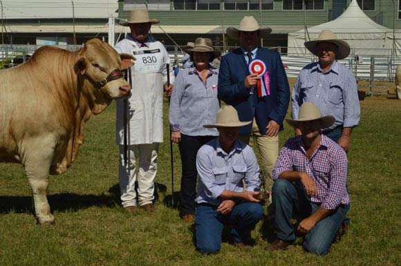 Beef Australia 2018 - Grand Champion Male, Cordelia Kingswood, Cordelia Charbrays.