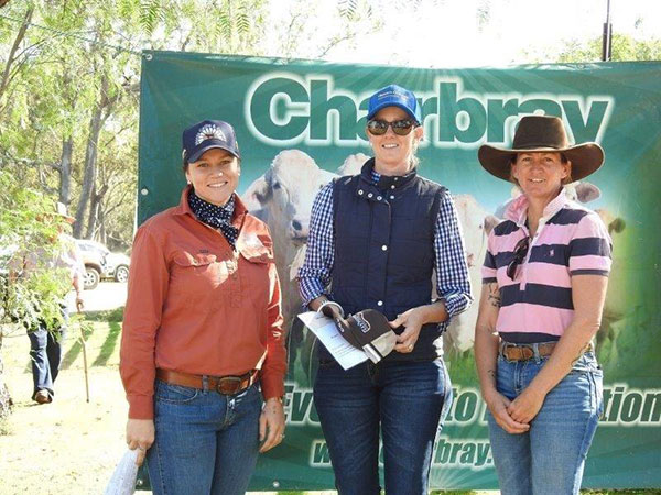 Monto Charbray Show & Sale Results 2021.