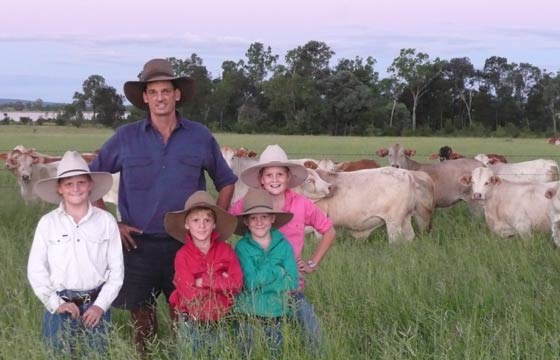 David Edwards looks and a line of his Charbray weaners with his children Annabel and Douglas and twins, Ryan and Martin
