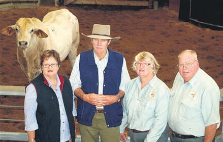 Bill and Julie Lewis, Diamond Dove Charbrays, Monto purchased the top priced Nicholroi Danny from vendors, Brian and Ann Nichols, Nicholroi Charbrays, Monto.