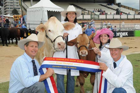 Newcombe Family with their 2010 Grand Champion Female Newcombes Bindi