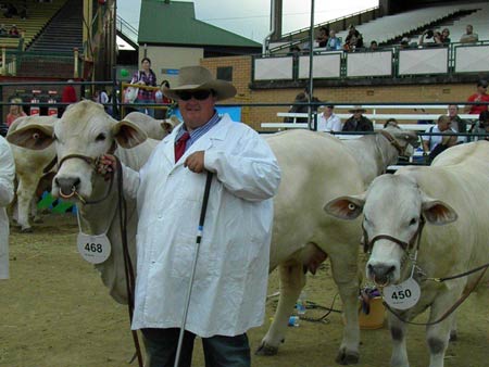 Travis Luscombe with Berwick Charbrays Grand Champion Cow & Calf - Brisbane Royal Show 2011